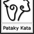 Kurzusok Pataky Katával